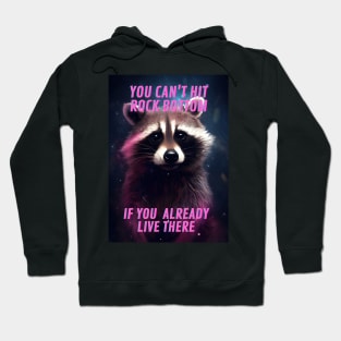 Funny Aesthetic Trash Panda Raccoon Internet Meme Hoodie